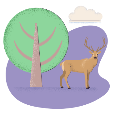 Олень стоит в лесу в PNG, SVG