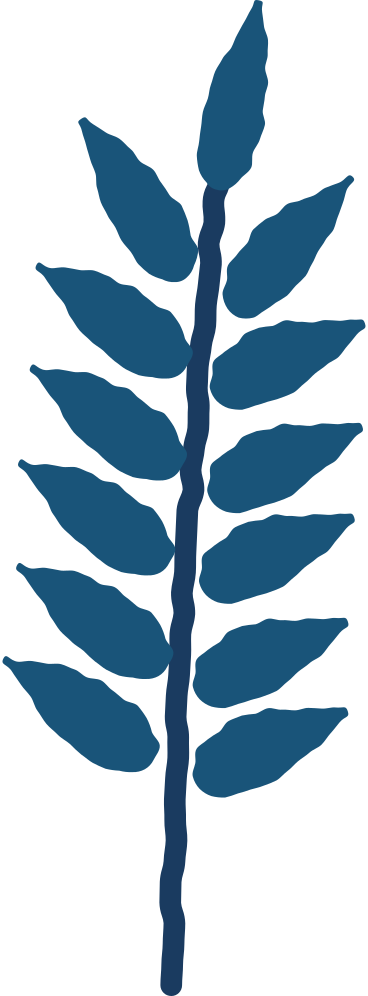 마가목 잎 PNG, SVG