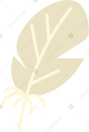 feather Illustration in PNG, SVG