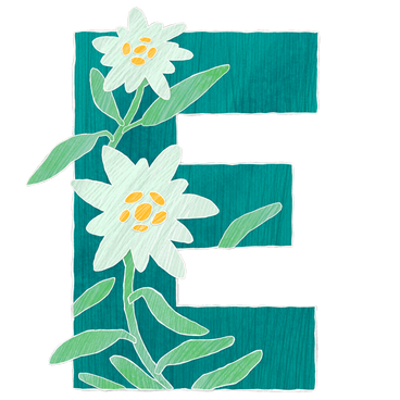 Grande lettre verte e avec des fleurs d'edelweiss PNG, SVG