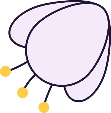 Цветок сакуры в PNG, SVG