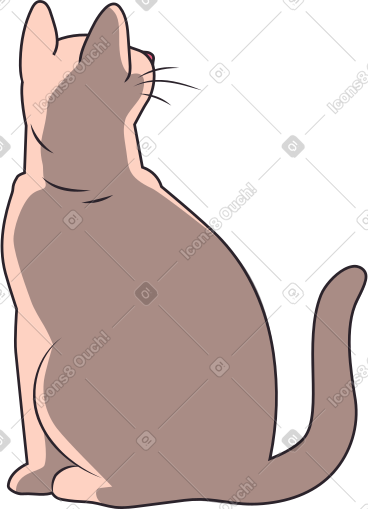 Cat sphinx PNG, SVG