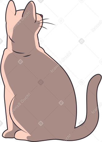 cat sphinx Illustration in PNG, SVG