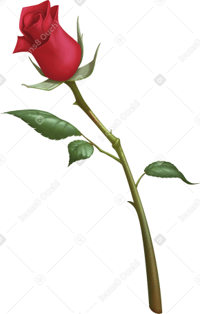 single rose PNG、SVG