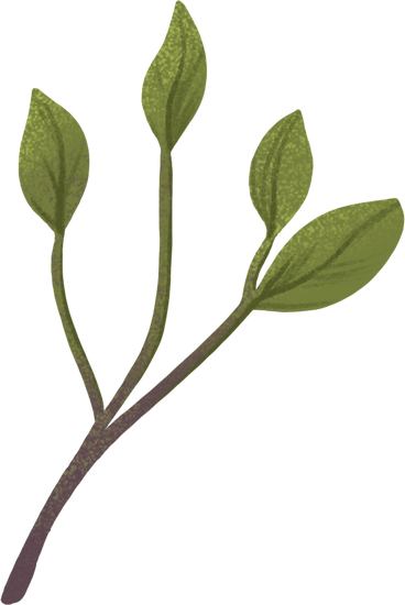 small twig with green leaves PNG, SVG