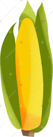 ear of corn PNG、SVG