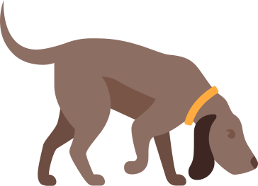 Собака в PNG, SVG