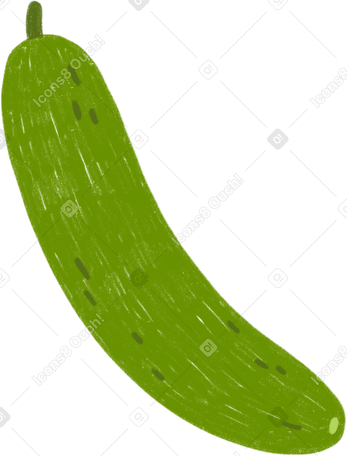 cucumber PNG, SVG