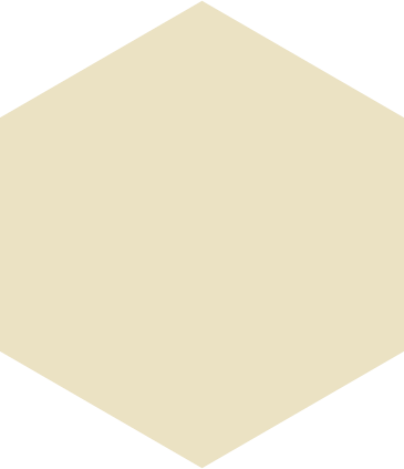 Beige hexagon PNG, SVG