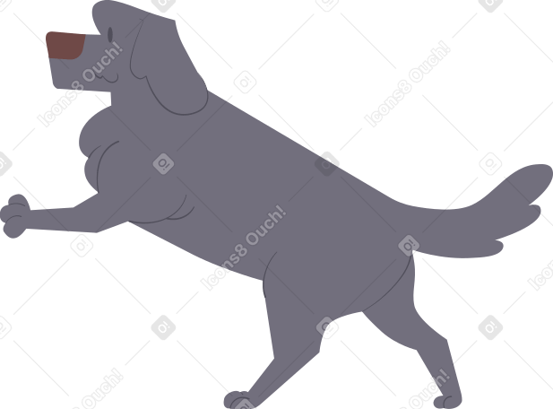 labrador Illustration in PNG, SVG