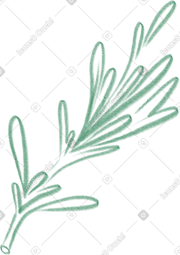 Olive branch PNG, SVG