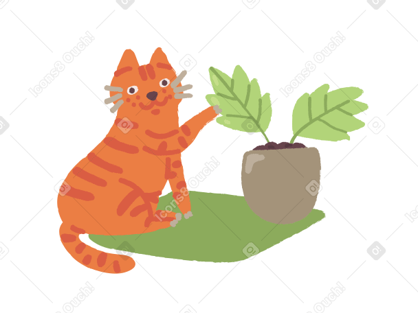  gardener cat Illustration in PNG, SVG