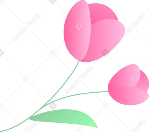 two pink flowers PNG, SVG
