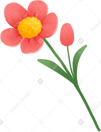 red flower PNG, SVG