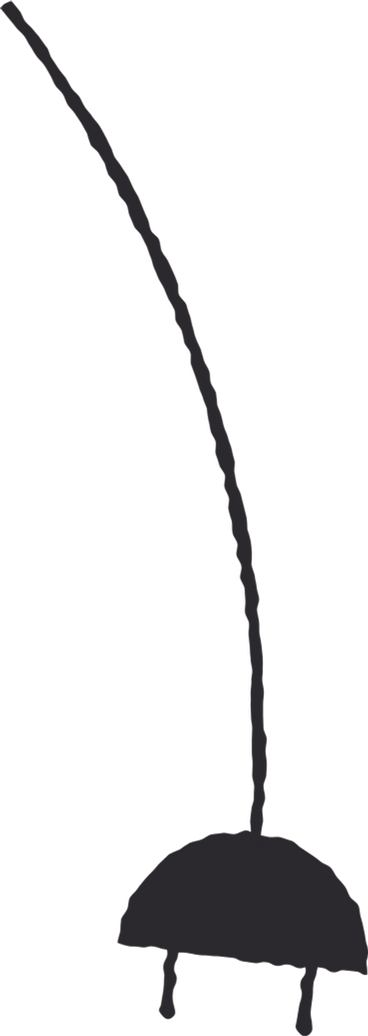 cord PNG, SVG