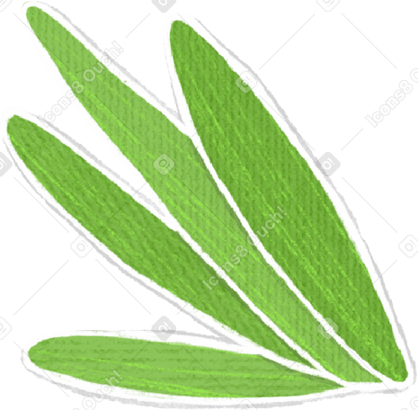 green leaves in bunches Illustration in PNG, SVG