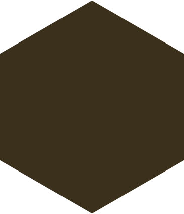 Brown hexagon PNG, SVG