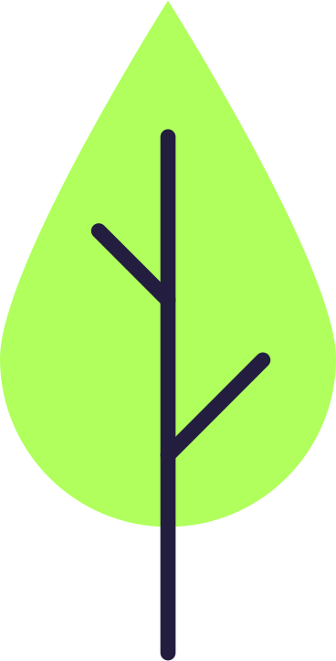 green leaf with black stem and two veins PNG, SVG