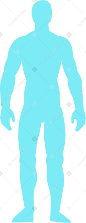 diagram of the human body Illustration in PNG, SVG