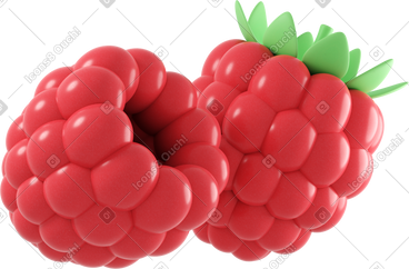 Raspberries PNG, SVG