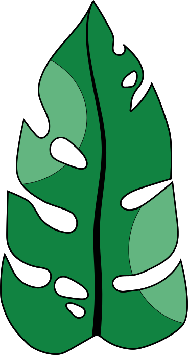 Palm leaf PNG, SVG