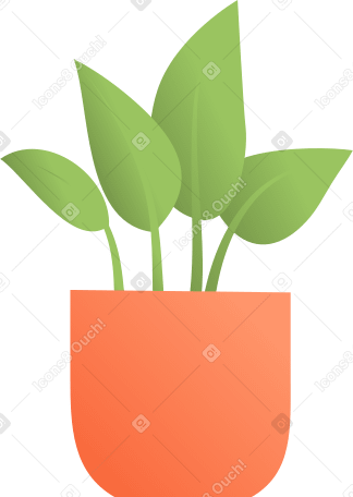 flor em uma panela PNG, SVG
