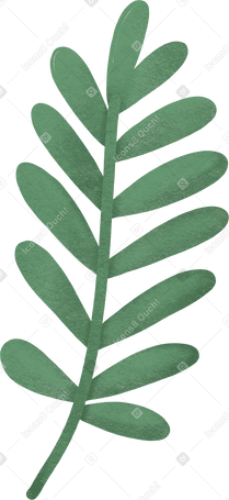 Folha de palmeira PNG, SVG