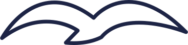 white seagull PNG, SVG