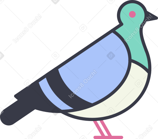 pigeon PNG, SVG