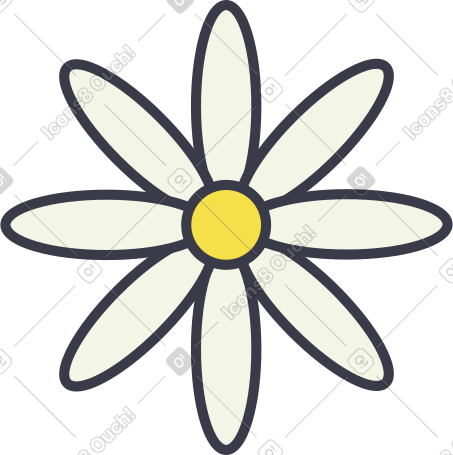 洋甘菊 PNG, SVG