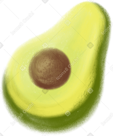 avocado PNG、SVG