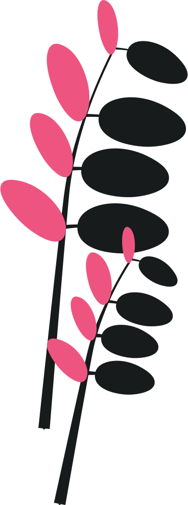 two branches with leaves PNG, SVG