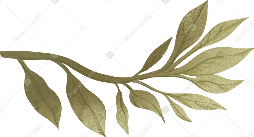 thick branch with green leaves PNG, SVG