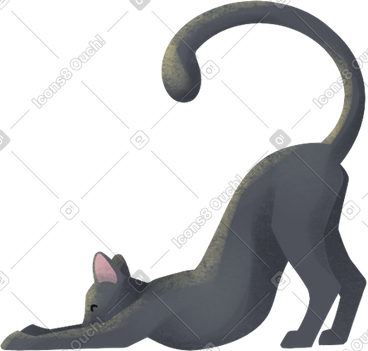 Black cat PNG, SVG