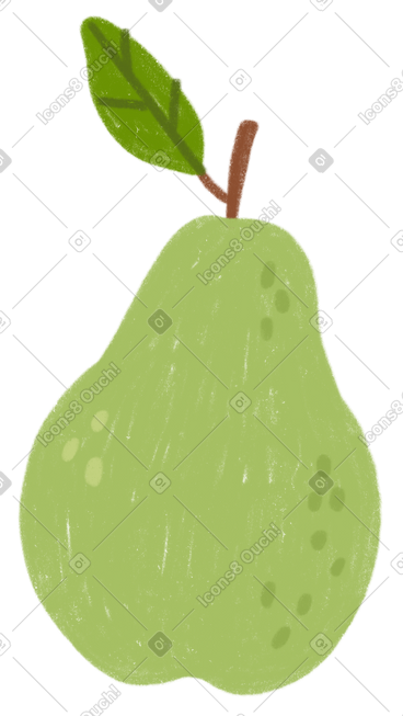 Pear PNG, SVG