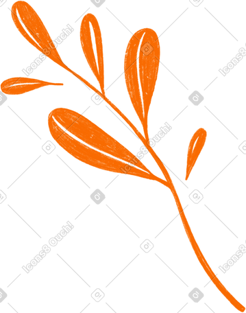 orange sprig with leaves PNG, SVG