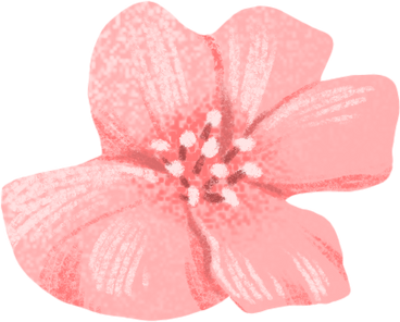 little pink flower PNG, SVG