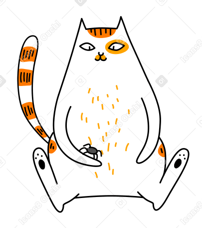 Cat sitting and playing with a spider PNG, SVG