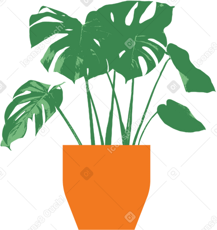 monstera in an orange pot PNG, SVG