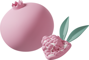 Rosa granatapfel PNG, SVG