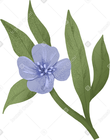 small blue flower on a green branch в PNG, SVG