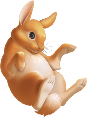 red rabbit PNG, SVG