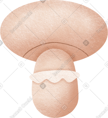 Mushroom PNG, SVG