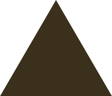 Brown triangle PNG, SVG