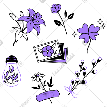 花卉和植物的集合 PNG, SVG