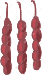 red juchels Illustration in PNG, SVG