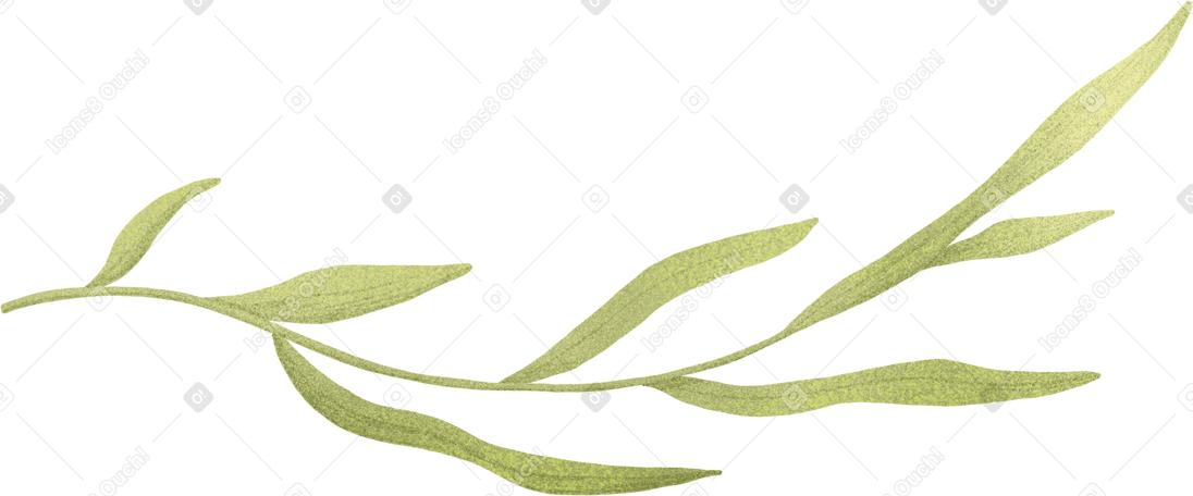 長い葉を持つ緑の曲がった小枝 PNG、SVG