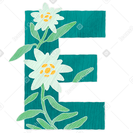 Large green letter e with edelweiss flowers Illustration in PNG, SVG