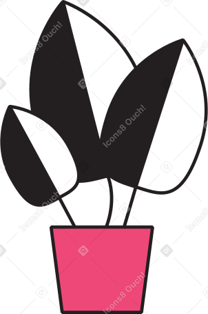 plant in a pink pot Illustration in PNG, SVG