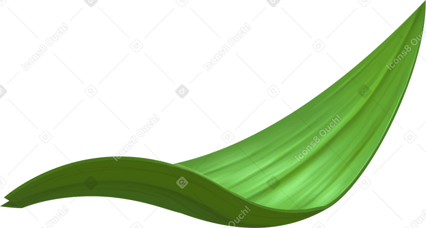 single thick grass leaf PNG, SVG
